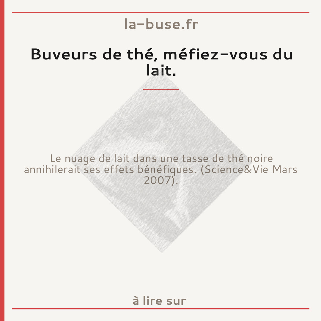 Buveurs de thé, méfiez-vous du lait.