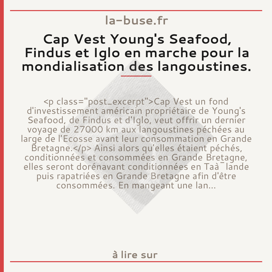Cap Vest Young's Seafood, Findus et Iglo en marche pour la mondialisation des langoustines.