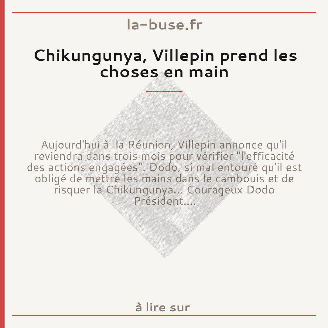 Chikungunya, Villepin prend les choses en main