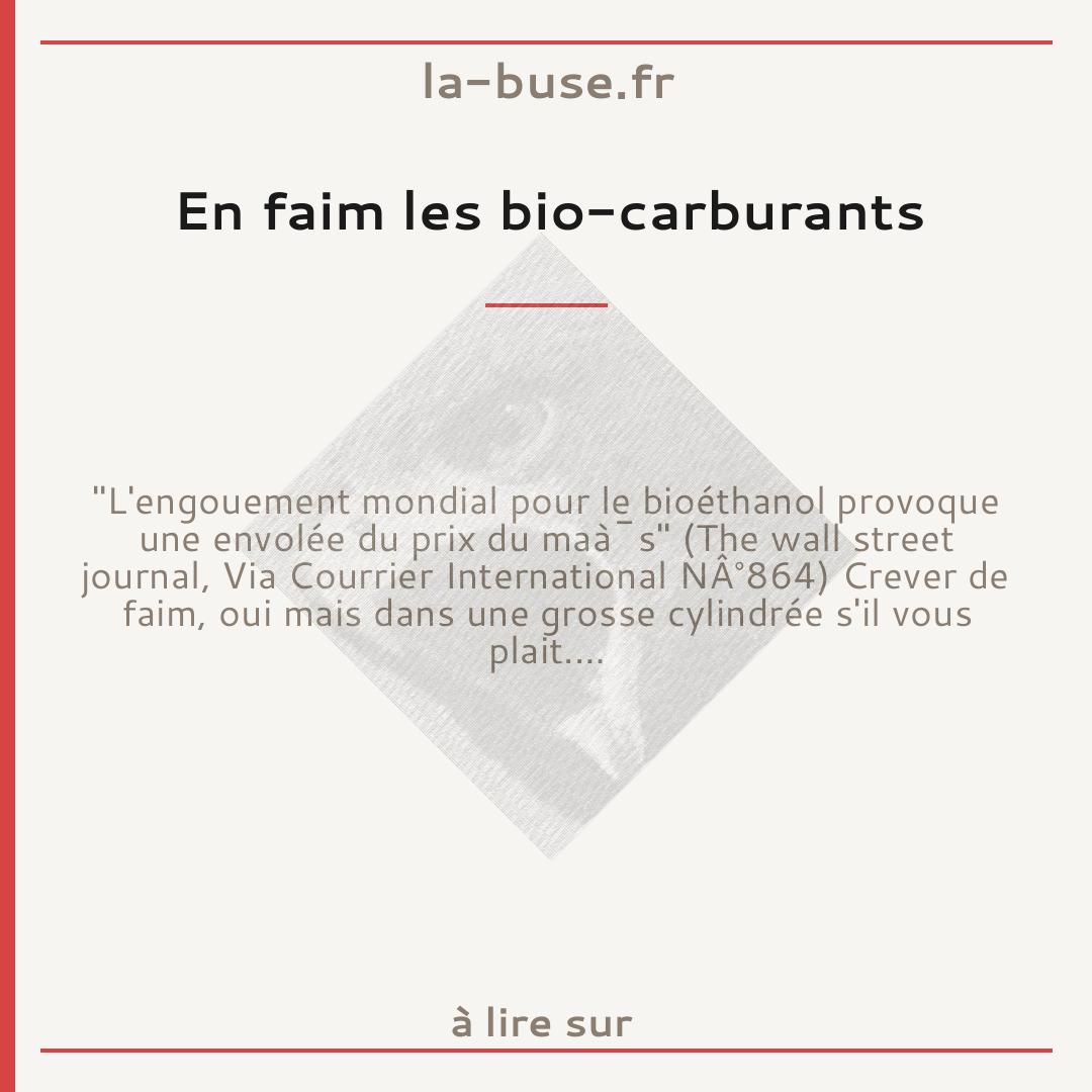 En faim les bio-carburants