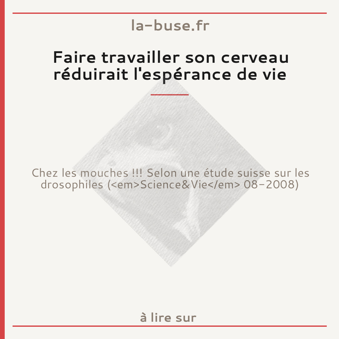 Faire travailler son cerveau réduirait l'espérance de vie