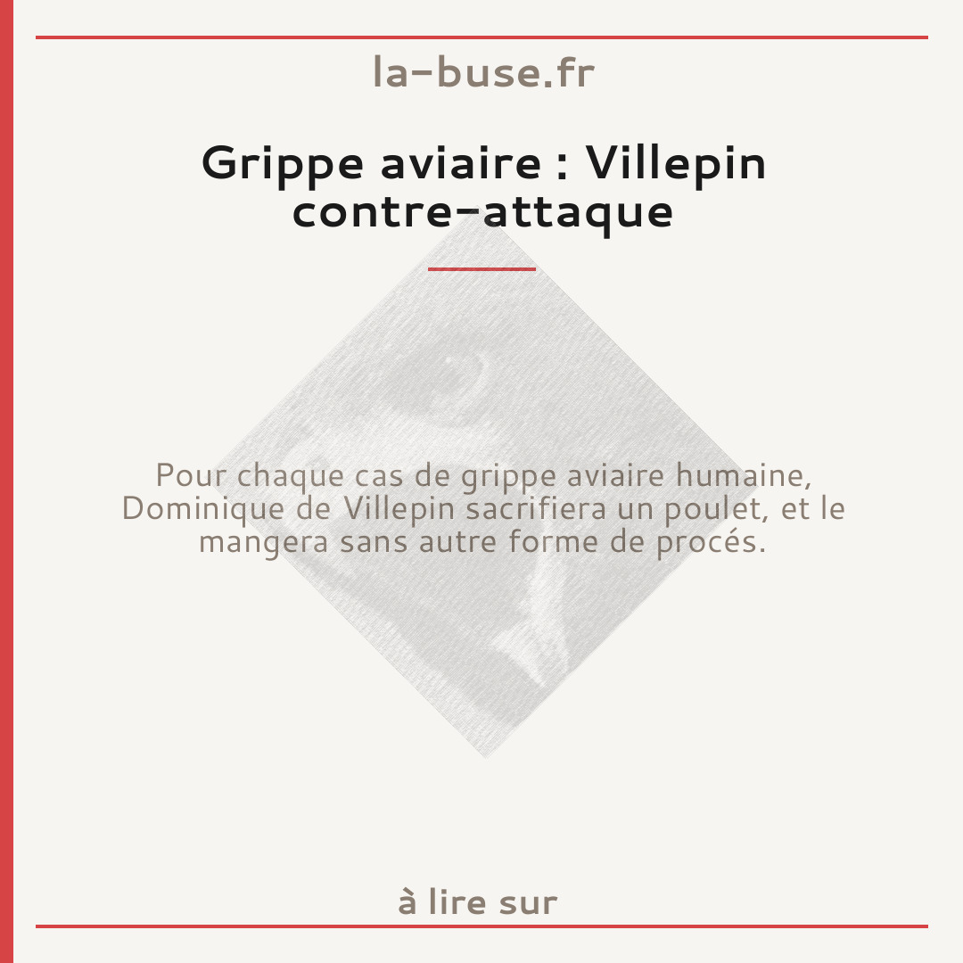 Grippe aviaire : Villepin contre-attaque