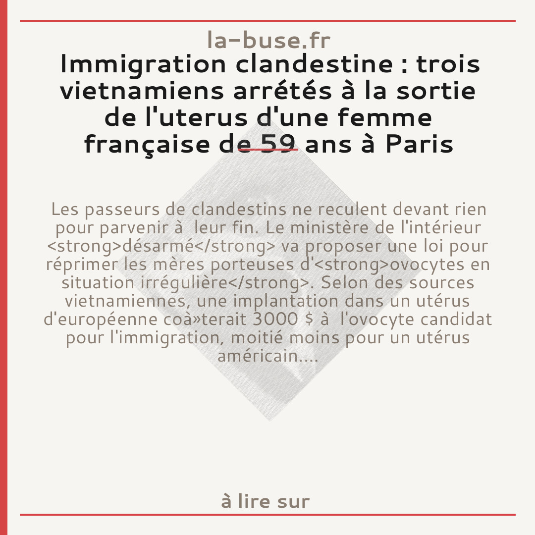 Immigration clandestine : trois vietnamiens arrétés à la sortie de l'uterus d'une femme française de 59 ans à Paris
