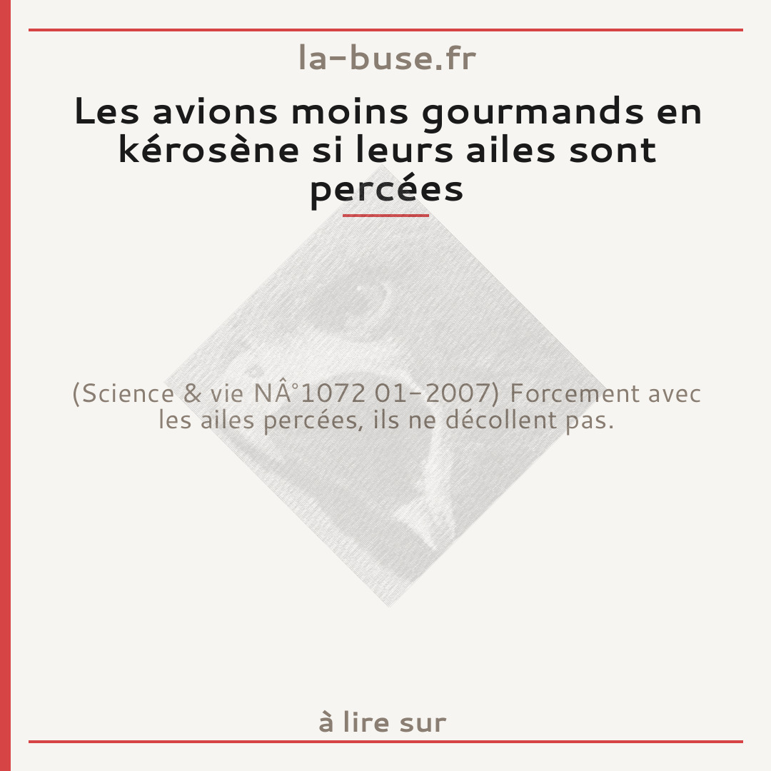 Les avions moins gourmands en kérosène si leurs ailes sont percées