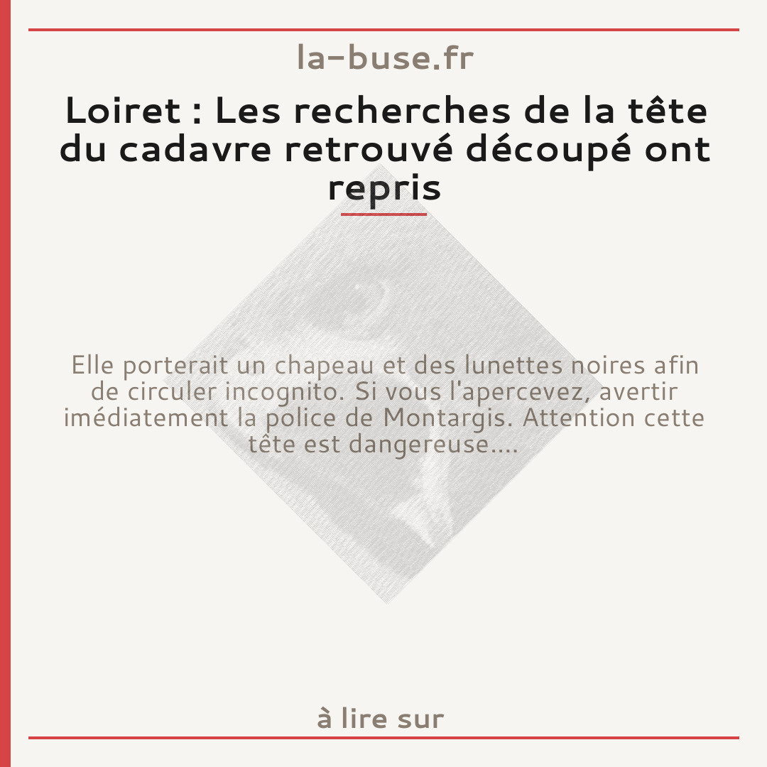 Loiret : Les recherches de la tête du cadavre retrouvé découpé ont repris