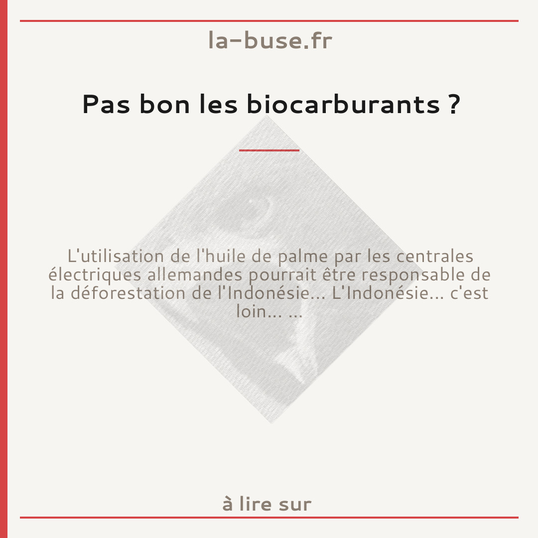 Pas bon les biocarburants ?