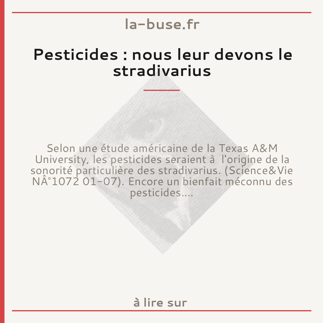 Pesticides : nous leur devons le stradivarius