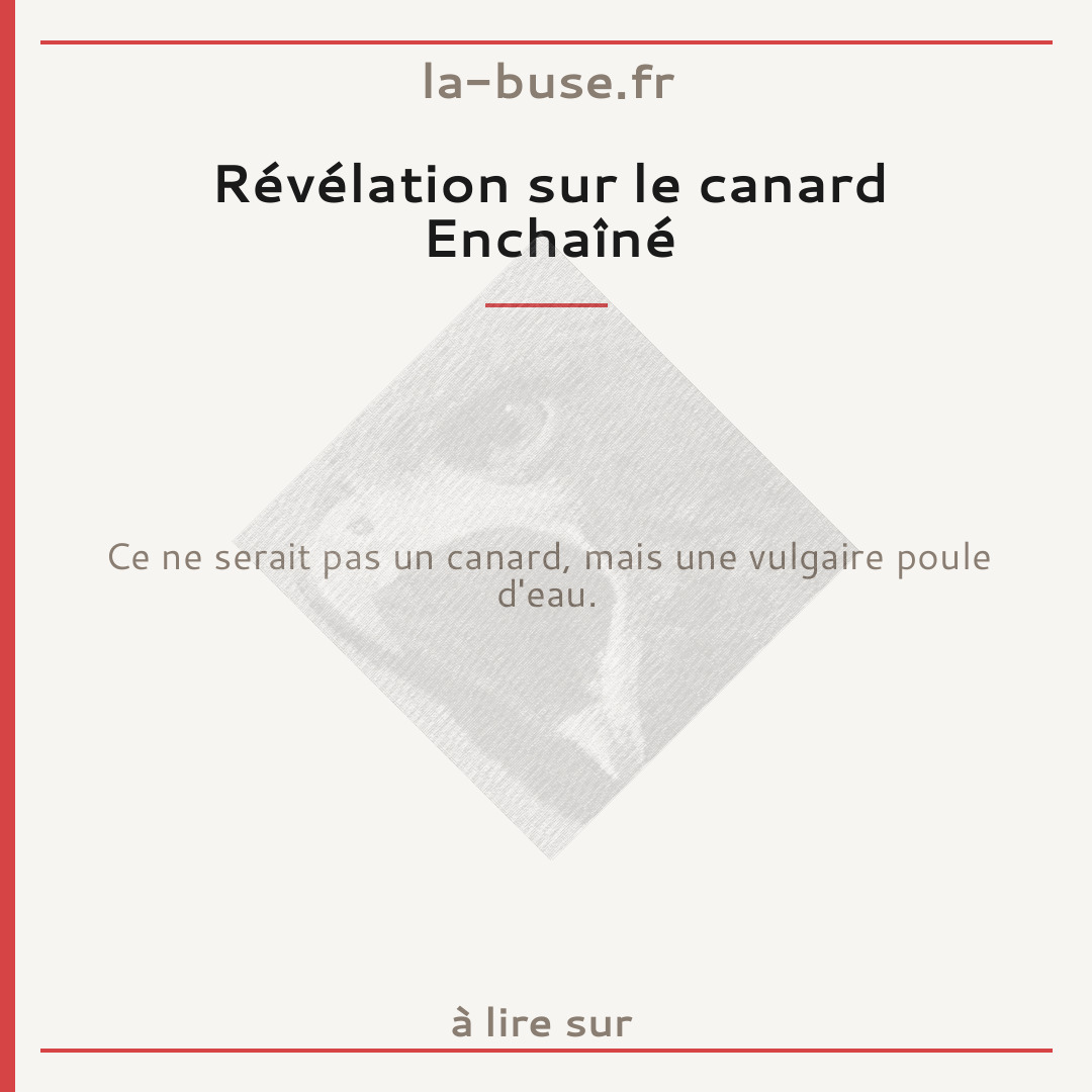 Révélation sur le canard Enchaîné