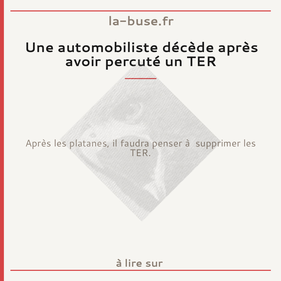 Une automobiliste décède après avoir percuté un TER