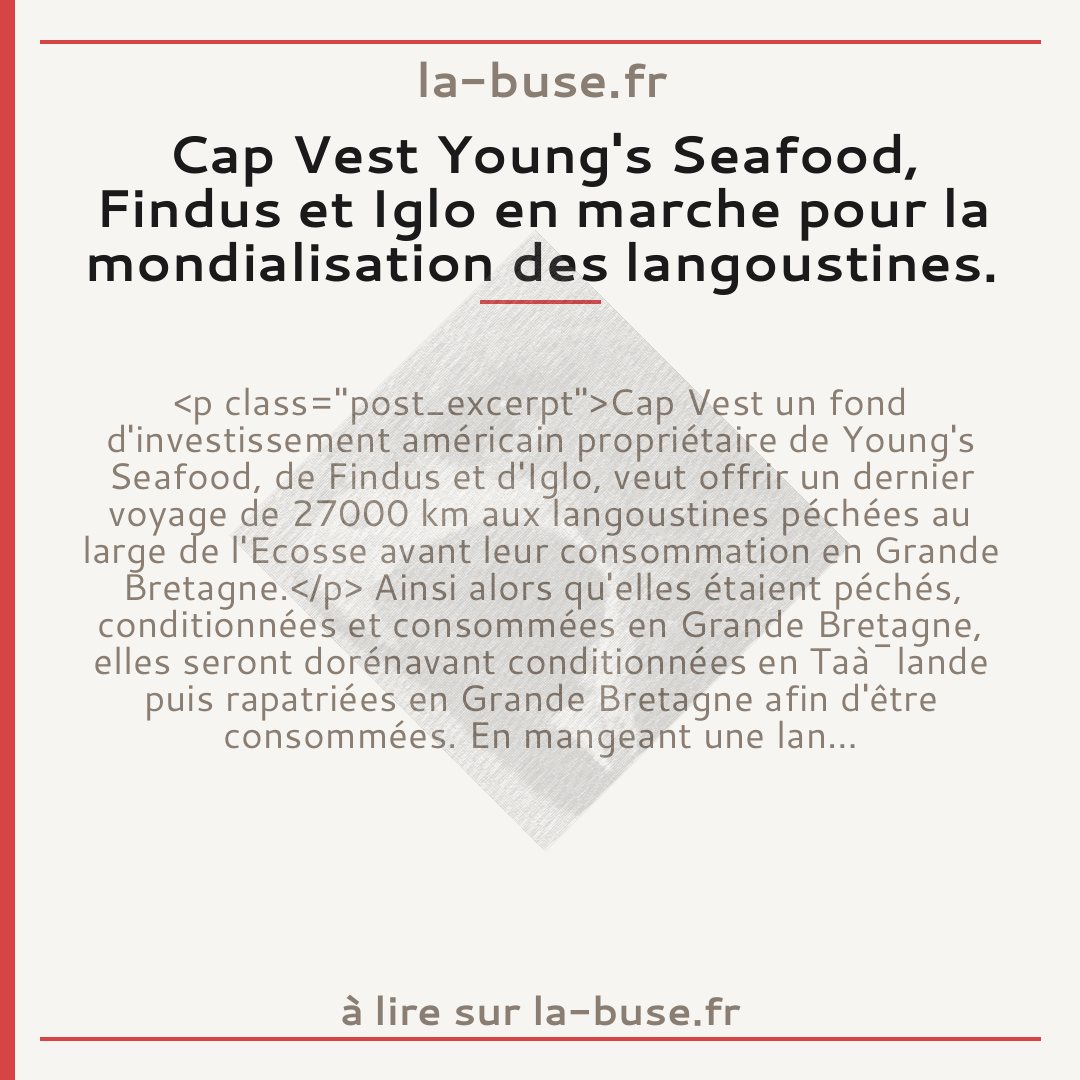Cap Vest Young's Seafood, Findus et Iglo en marche pour la mondialisation des langoustines.