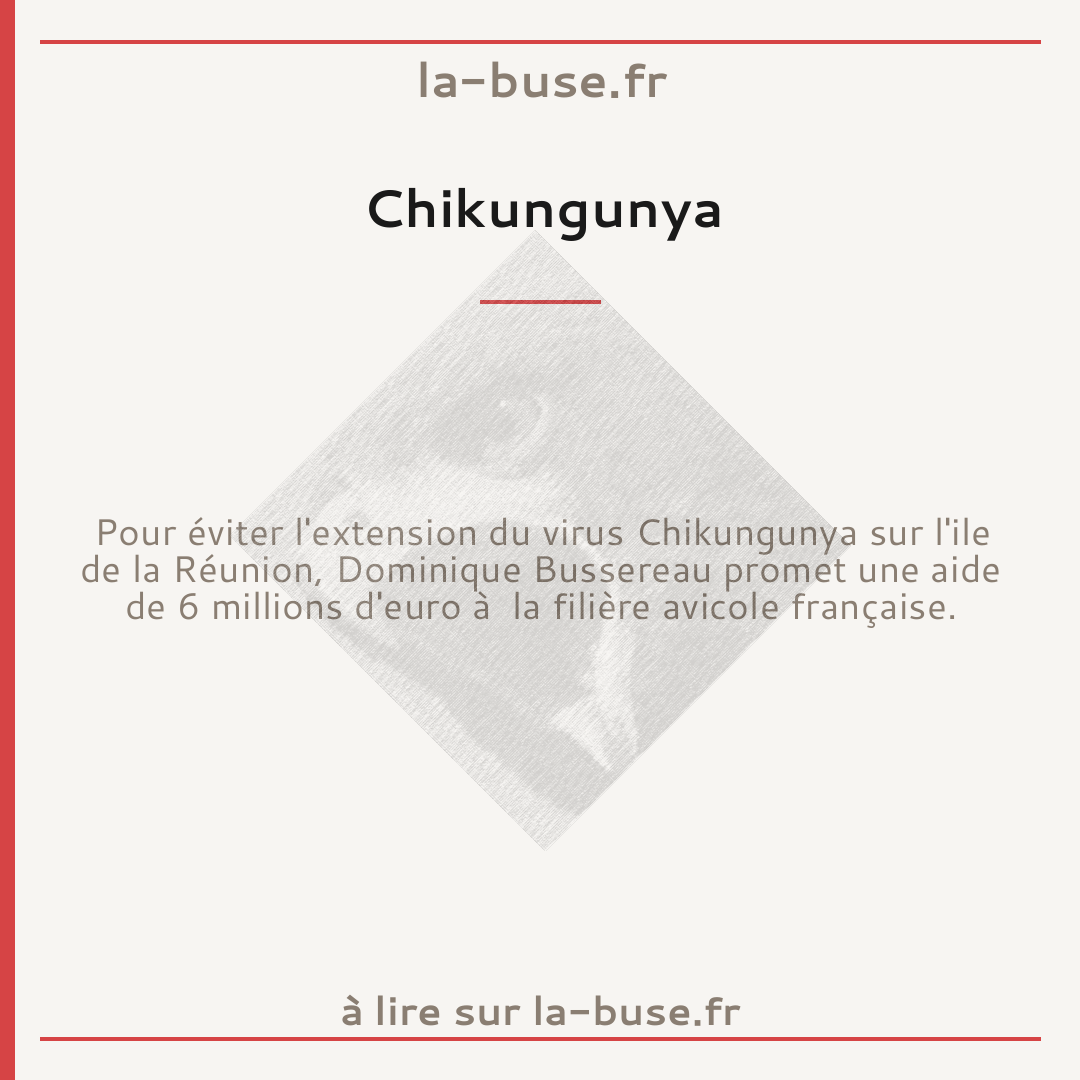 Chikungunya