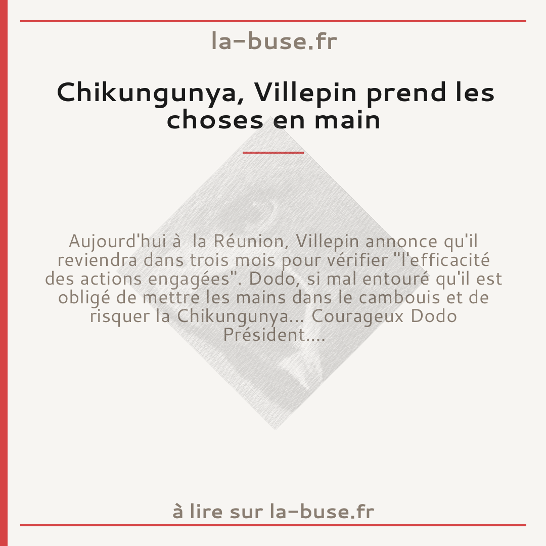 Chikungunya, Villepin prend les choses en main