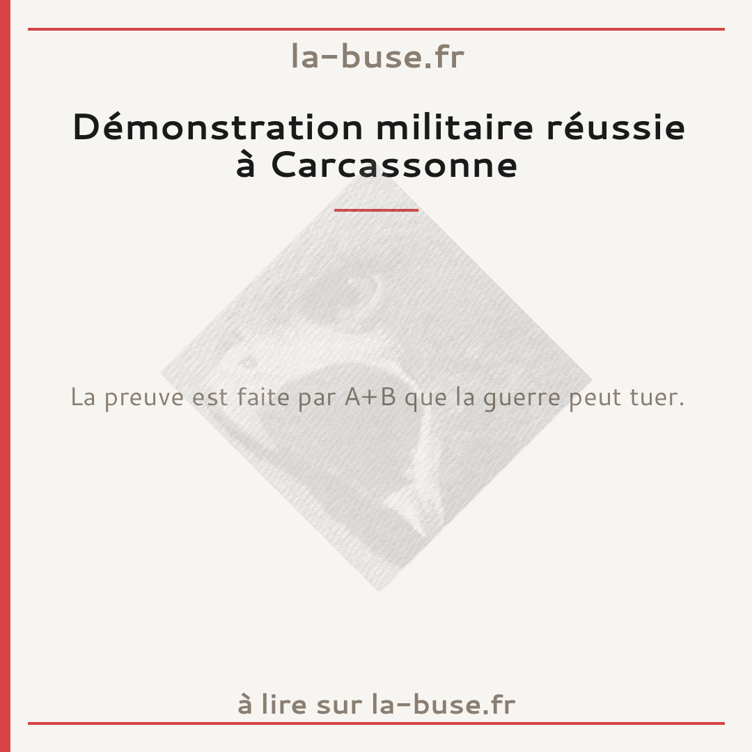 Démonstration militaire réussie à Carcassonne