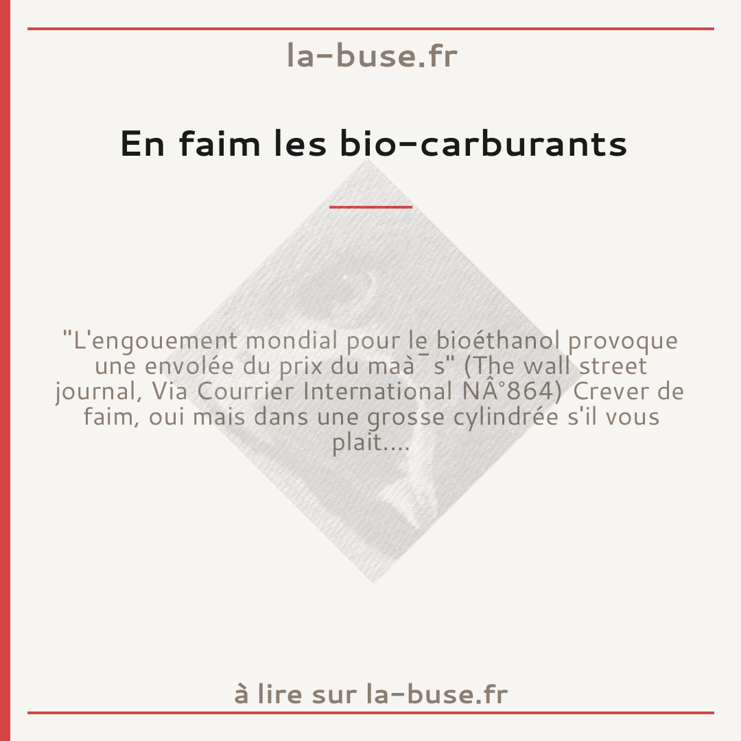 En faim les bio-carburants