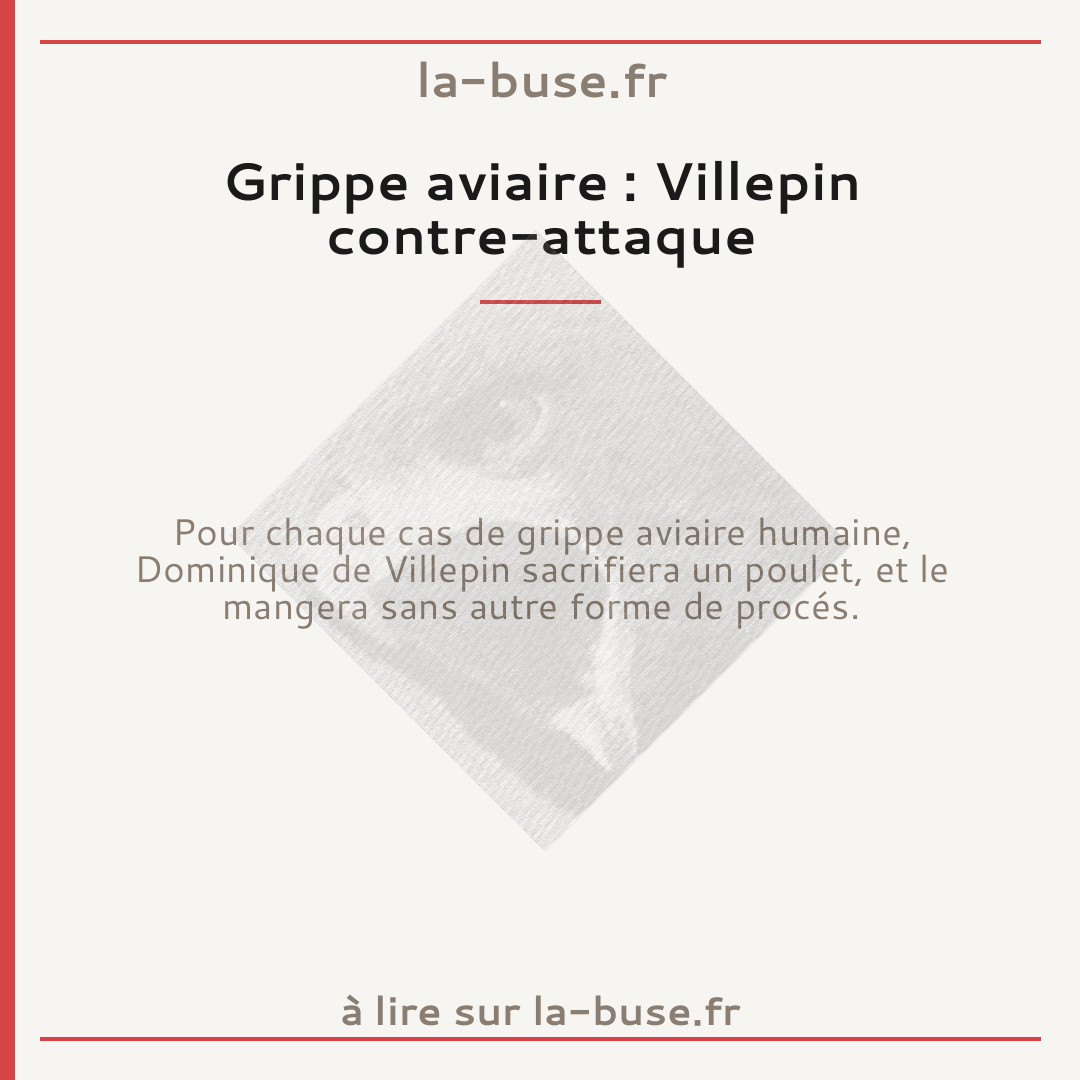Grippe aviaire : Villepin contre-attaque