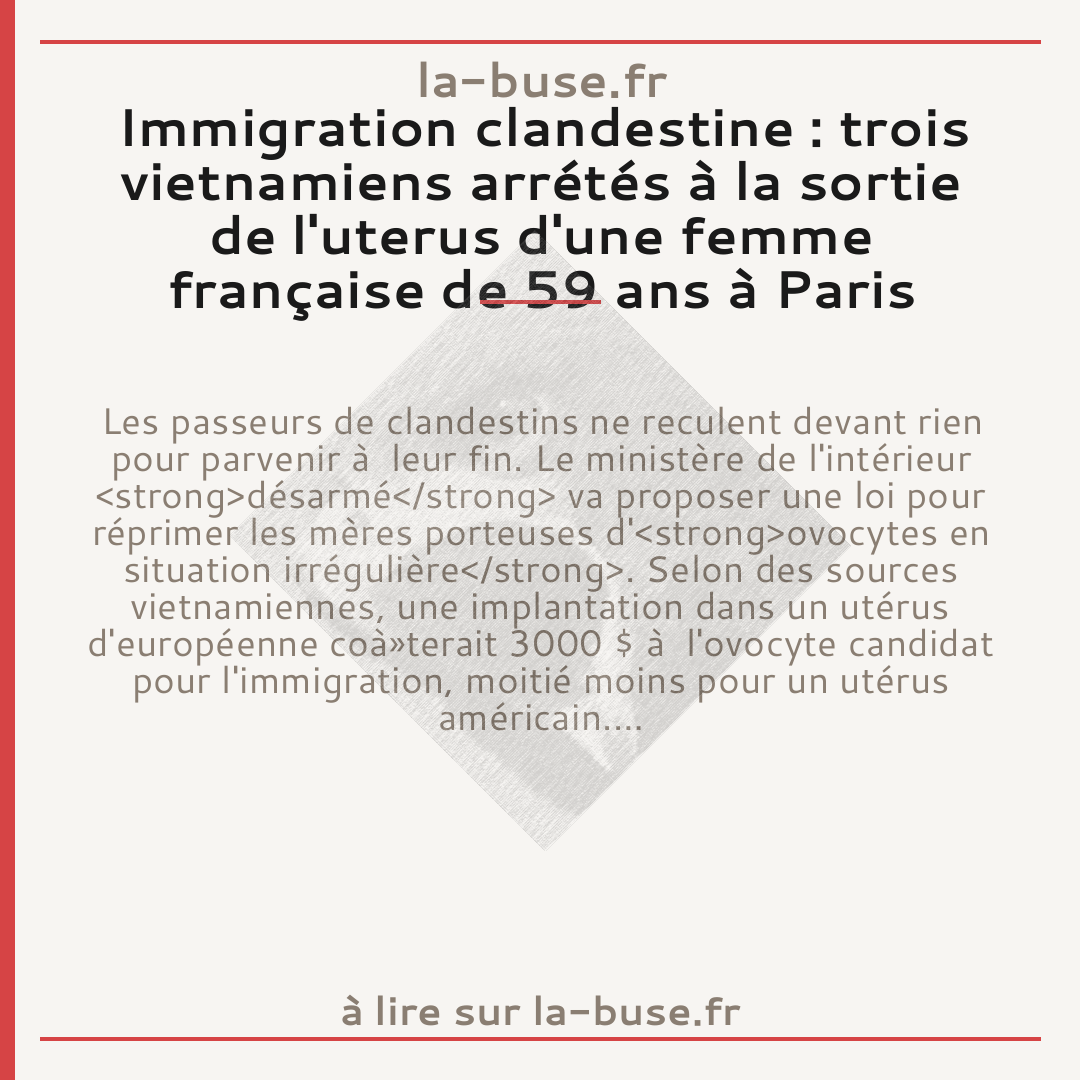 Immigration clandestine : trois vietnamiens arrétés à la sortie de l'uterus d'une femme française de 59 ans à Paris