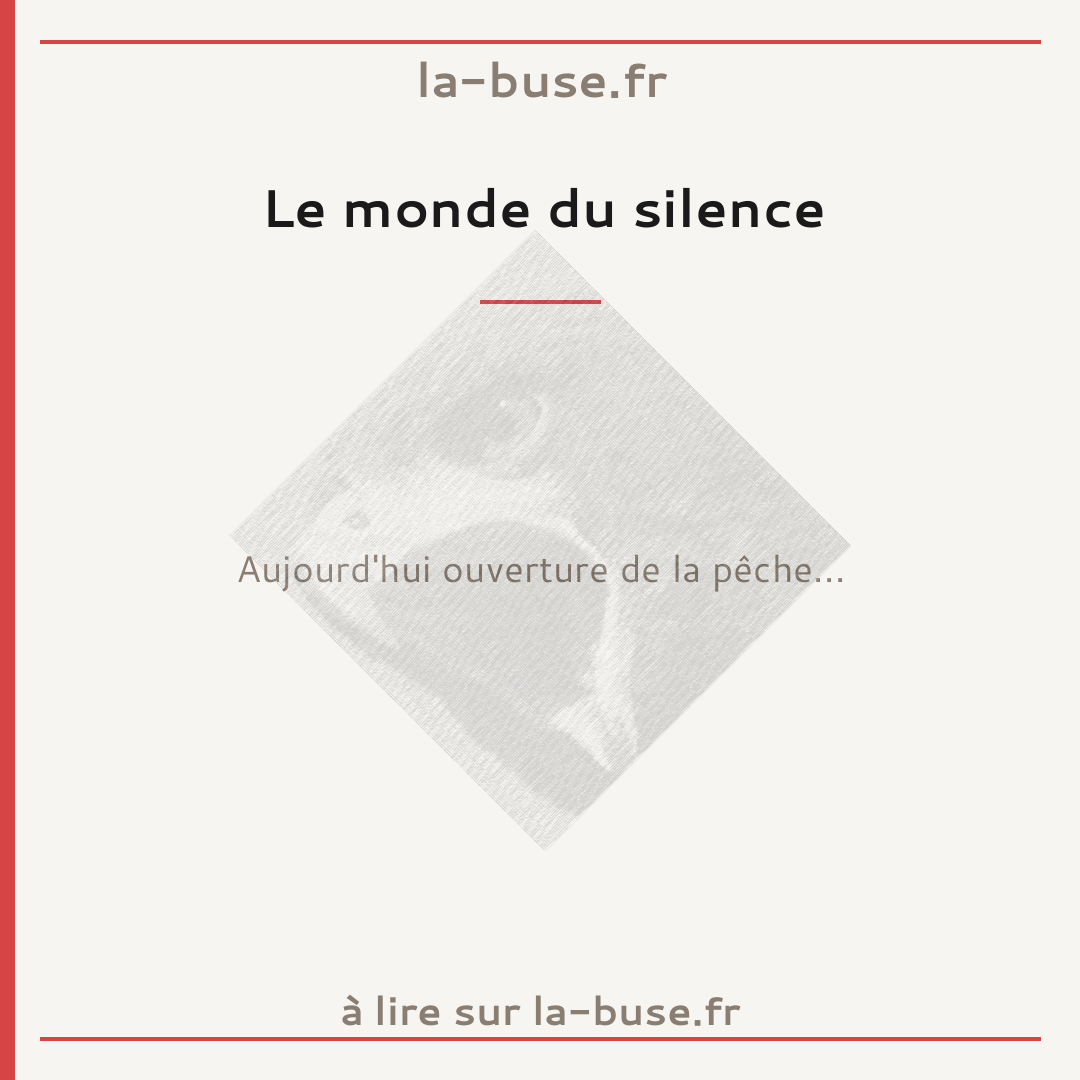 Le monde du silence