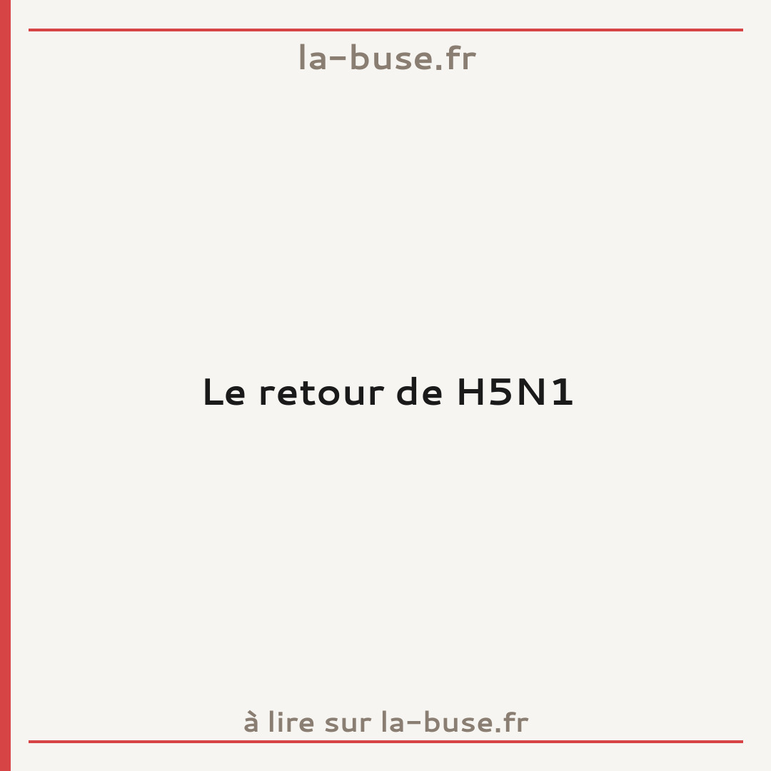 Le retour de H5N1