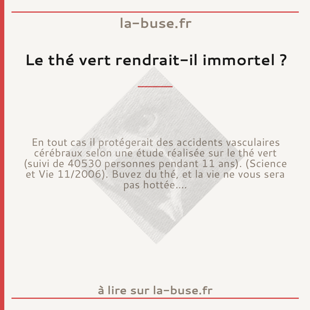 Le thé vert rendrait-il immortel ?
