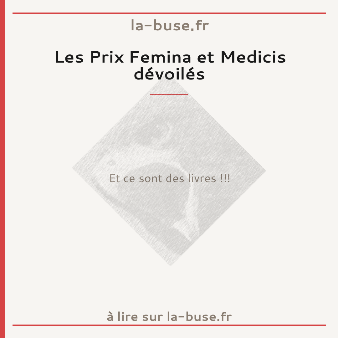 Les Prix Femina et Medicis dévoilés