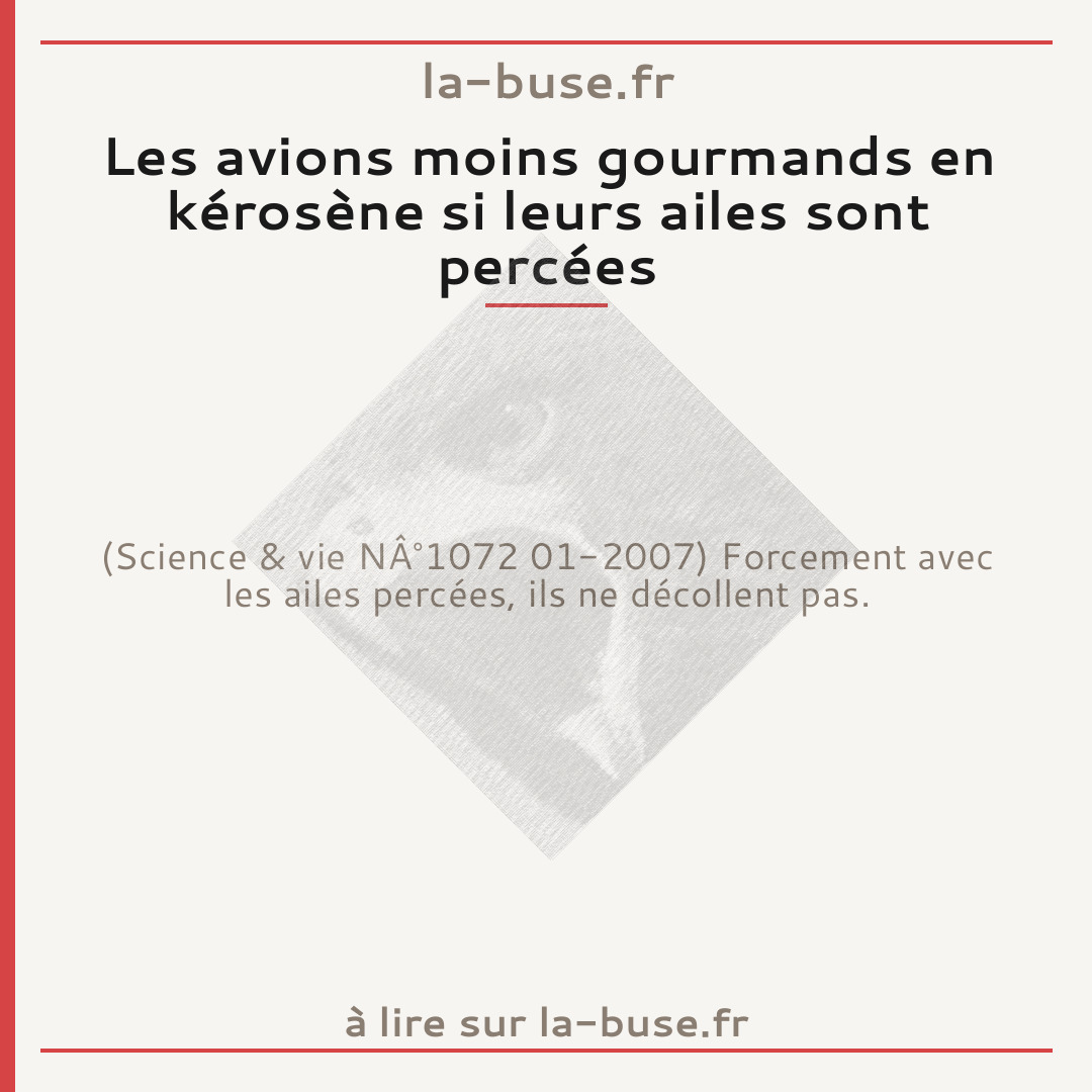 Les avions moins gourmands en kérosène si leurs ailes sont percées
