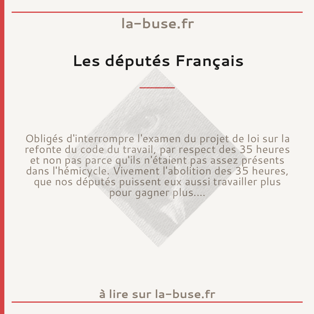 Les députés Français