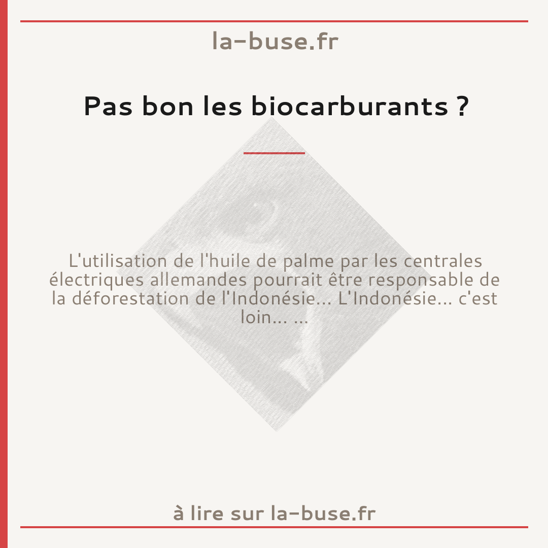 Pas bon les biocarburants ?
