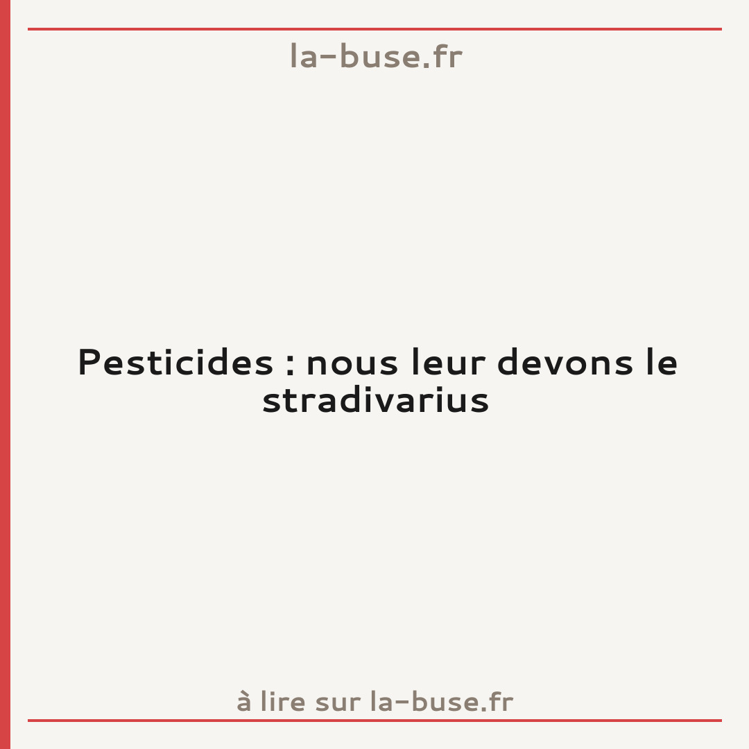 Pesticides : nous leur devons le stradivarius