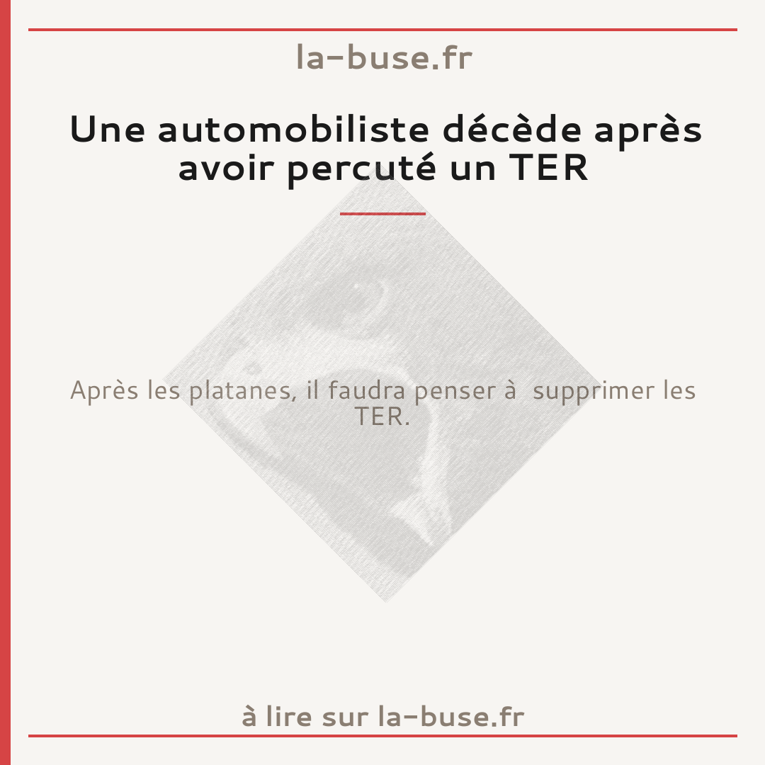 Une automobiliste décède après avoir percuté un TER