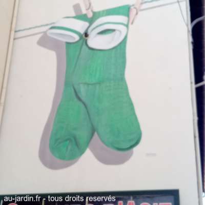 Saint-Étienne capitale de la chaussette.