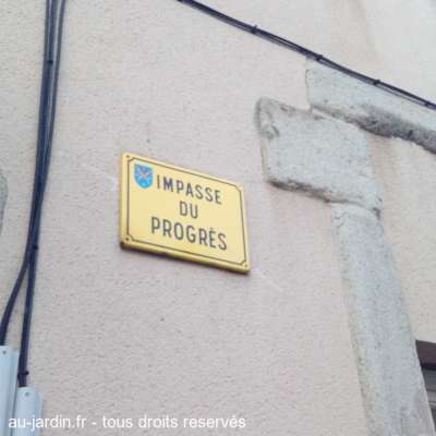 À saint-Etienne le progrès est dans l'impasse.