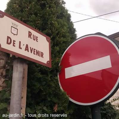 L'avenir? Une impasse?