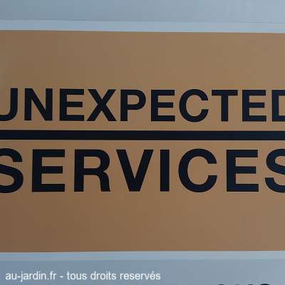 Unexpected shopping à Lyon Part-Dieu.