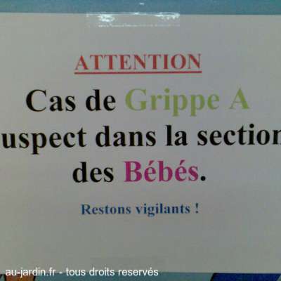 Pire que la grippe A !!!