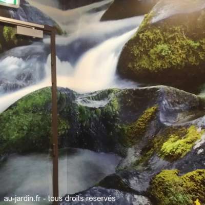 Petit coin de La Ravoire