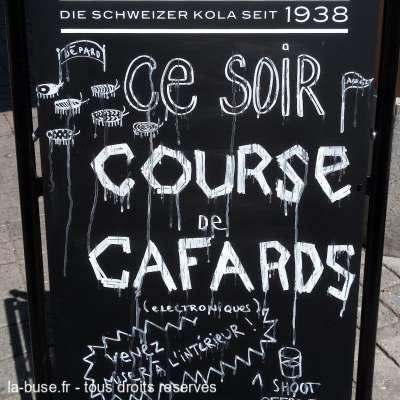 Pour devenir riche... pariez sur les cafards.